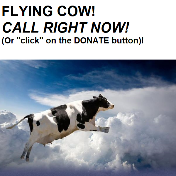 A large logo depicting the news story HOLY COW!  CALL   360-681-0000 RIGHT NOW!